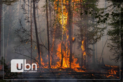 Он гарсаар ой хээрийн түймэрт 504 мянган га талбай, 19 толгой бог мал өртжээ