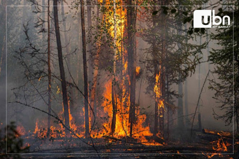 Сэлэнгэ аймгийн Эрдэнэцагаан суманд гарсан хээрийн түймрийг унтраахаар ажиллаж байна