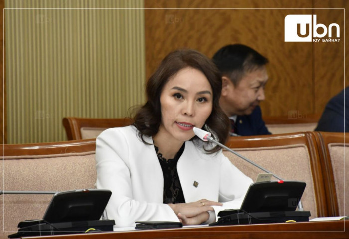 Ц.Мөнхцэцэг: Сонгогчдод далд хэлбэрээр авлига өгч нөлөөлж байгааг таслан зогсоох ёстой