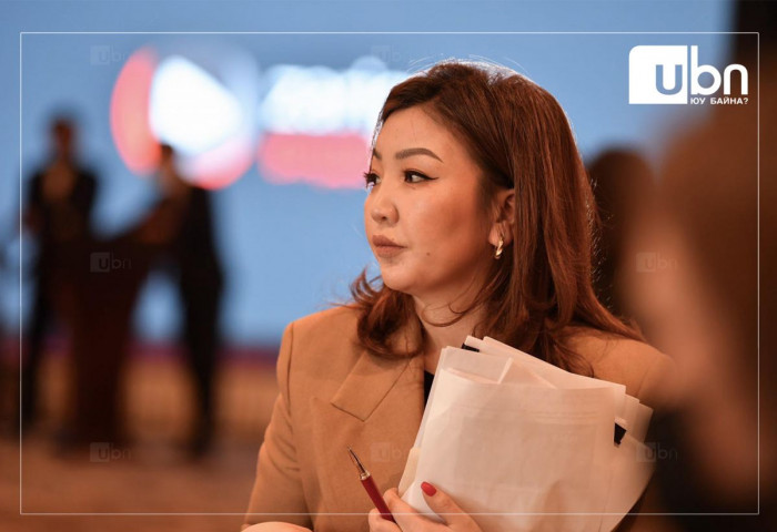 Н.Өнөрцэцэг: АН намайг нэр дэвшүүлсэнгүй