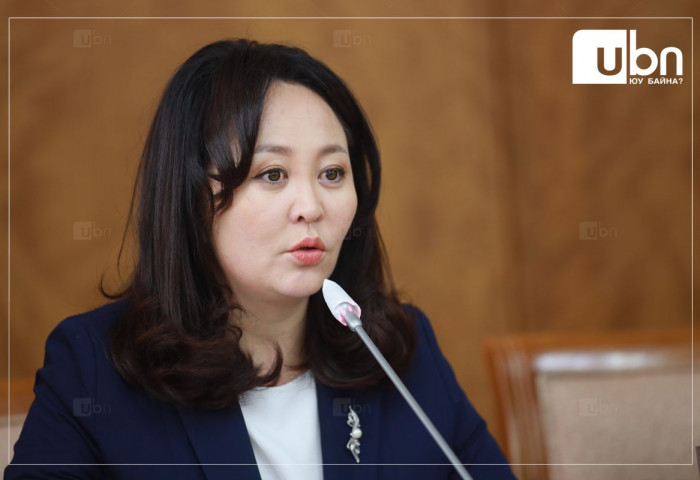 Р.Булгамаа: Өнгөрөгч амралтын өдрүүдэд АН-тай хамтын ажиллагаатай хэвлэл мэдээлэл, ПР багийн зарим хүмүүсийг 48 цаг саатуулсан