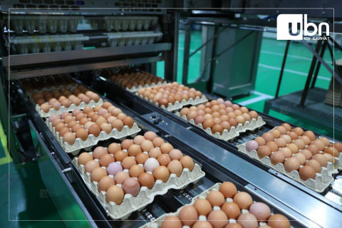 Өндөг, цагаан будааны импорт буурч  гурилын нийлүүлэлт 155.9 дахин нэмэгджээ