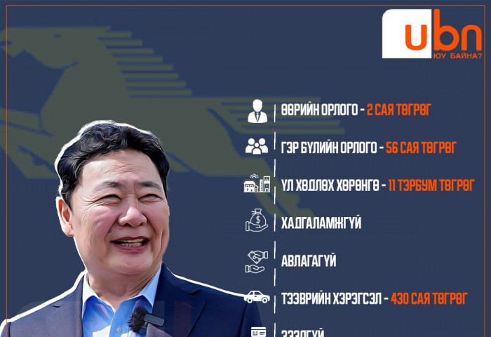 “Эрэл“-ийн Б.Эрдэнэбатын мэдүүлсэн ХОМ: Жилийн 2 сая төгрөгийн орлоготой, зээлгүй