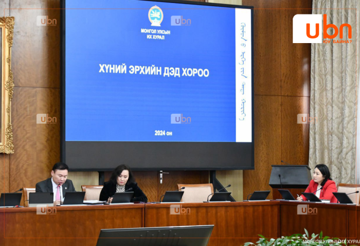 “Хүний эрхийн дэд хорооны 2024-2025 оны үйл ажиллагааны төлөвлөгөөний төсөл боловсруулах ажлын хэсэг байгуулах тухай” дэд хорооны тогтоолын төслийг баталлаа