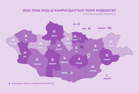 2024 оны эхний 10 сарын байдлаар 1247 гадаадын иргэн ЭМД-д хамрагджээ