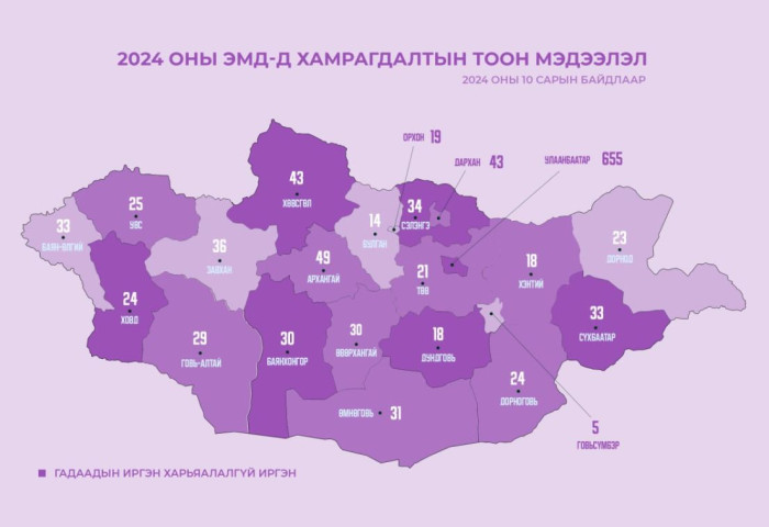 2024 оны эхний 10 сарын байдлаар 1247 гадаадын иргэн ЭМД-д хамрагджээ