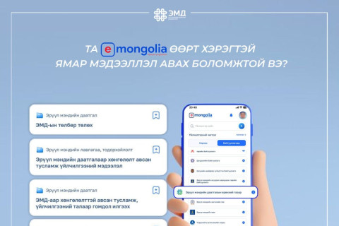 И-Монголиагаас авч болох ЭМД-тай холбоотой төрийн үйлчилгээг танилцуулж байна