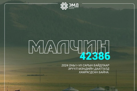 42386 малчин ЭМД-д хамрагджээ