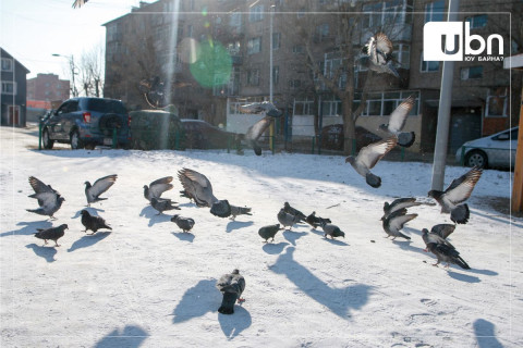 ӨГЛӨӨНИЙ МЭНД: Улаанбаатарт - 15 хэм хүйтэн байна