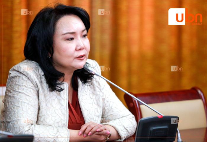 УИХ-ын гишүүн асан Н.Оюундарийг Польш Улсад суух Онц бөгөөд Бүрэн эрхт Элчин сайдаар томилох саналыг УИХ-д хүргүүлжээ