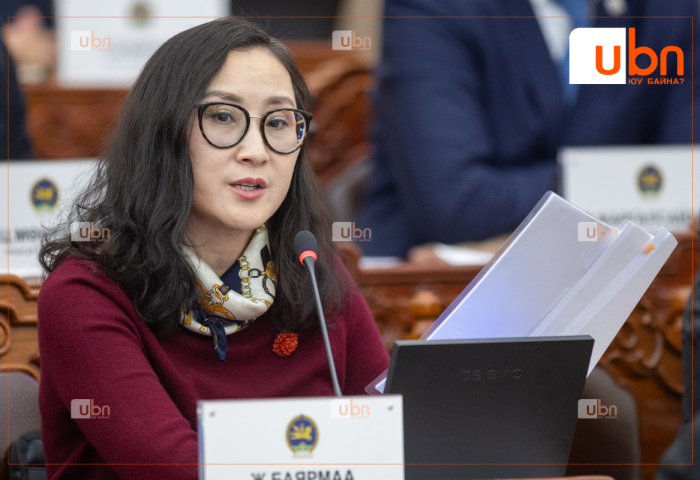 Ж.Баярмаа: Өнгөрсөн 9 жилийн хугацаанд 12.3 мянган мегаватт цахилгаан дулааны станц барих хэмжээний мөнгийг алдсан байна