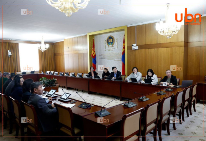 Эрчим хүчний салбарт сүүлийн таван жилд 806 тэрбум төгрөгийн өр төлбөр үүсчээ