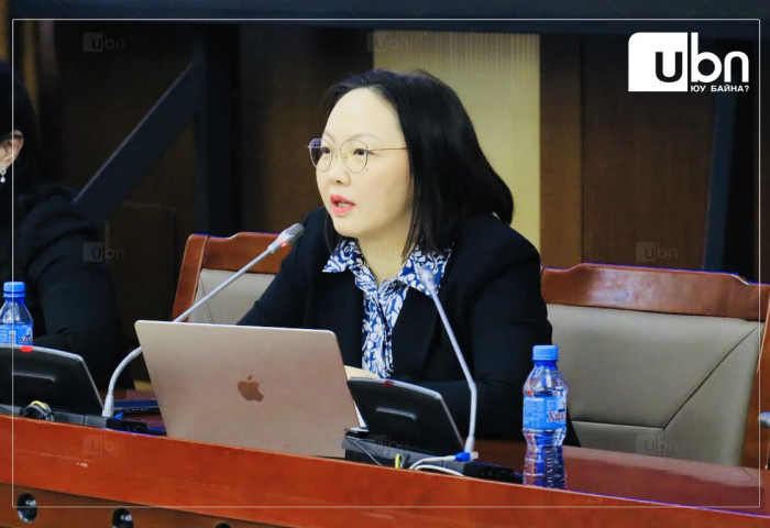 Б.Жаргалан: Бүрэн эрх нь дууссан гишүүдэд олгох тэтгэмжийг ямар үзэл баримтлалаар оруулж ирснийг мэдэхгүй байна