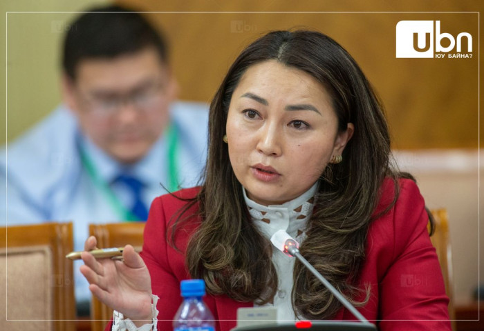 “Монголын хэдэн компаниуд ихэнхдээ ГЭР БҮЛИЙН ЭЗЭМШИЛД байдаг. Компанийн эзэд нь салжээ гэвэл манай санхүүгийн зах зээл савлах байх“