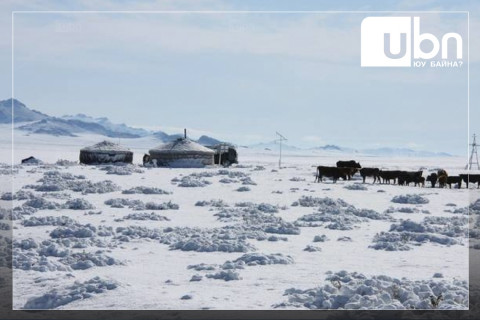 Увс аймгийн 7 суманд өвөлжилт хүндрэх төлөв рүү орж  -35 хэм хүртэл хүйтэрч байна