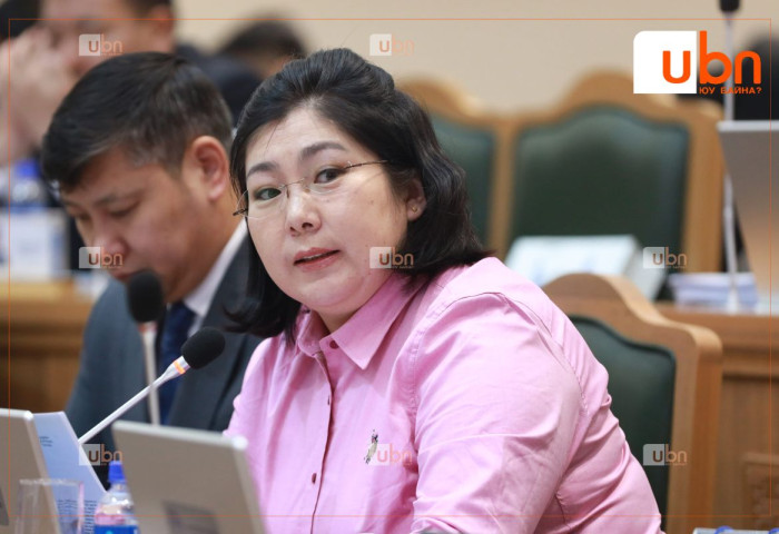 Б.Мягмар: Мэргэжлийн хяналтын байгууллагаа сэргээх хэрэгтэй