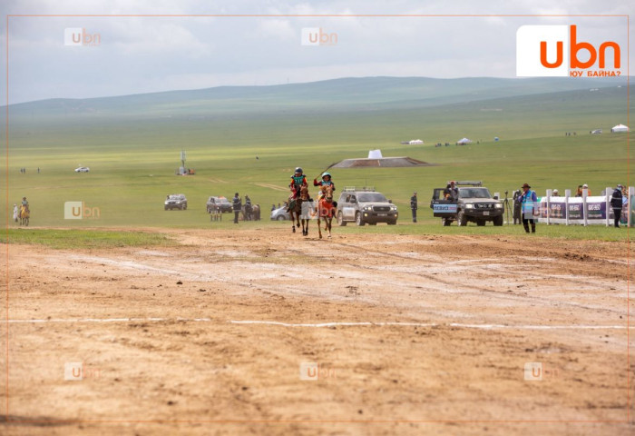 Өнгөрсөн 29 жилийн хугацаанд 52 хүүхэд мориноос унаж нас баржээ