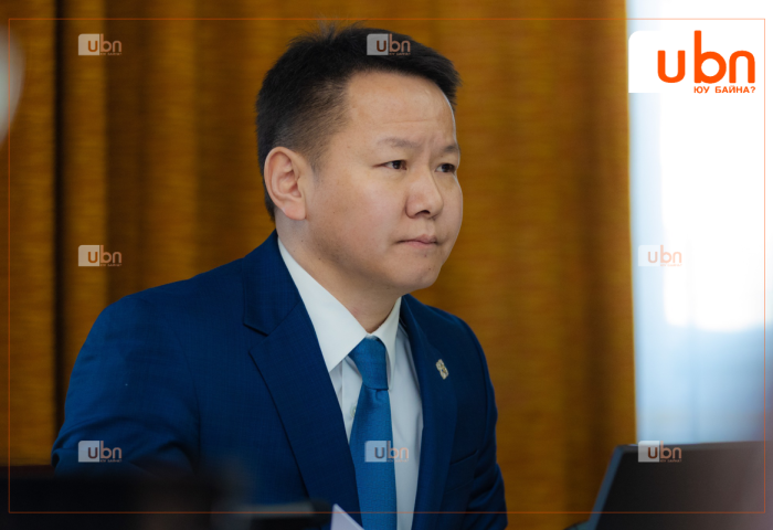 Н.Алтаншагай: Гэр бүлийн тухай хуульд шинэчлэл хийхээр ажиллаж байна