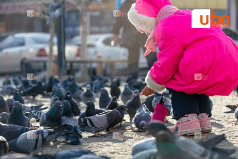 ӨГЛӨӨНИЙ МЭНД: Улаанбаатарт -14 хэмийн хүйтэн