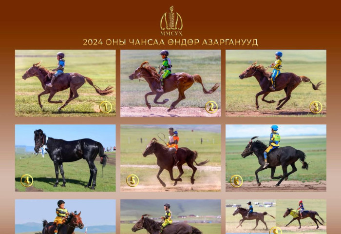 ТАНИЛЦ: 2024 оны чансаа өндөр АЗАРГАНУУД