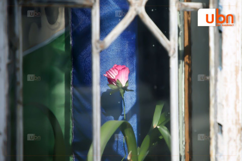 ӨСӨЛТ: Нэг ширхэг сарнай 2014 онд 3000 төгрөг байсан бол 2026 онд 10 мянган төгрөг болж гурав дахин өсчээ