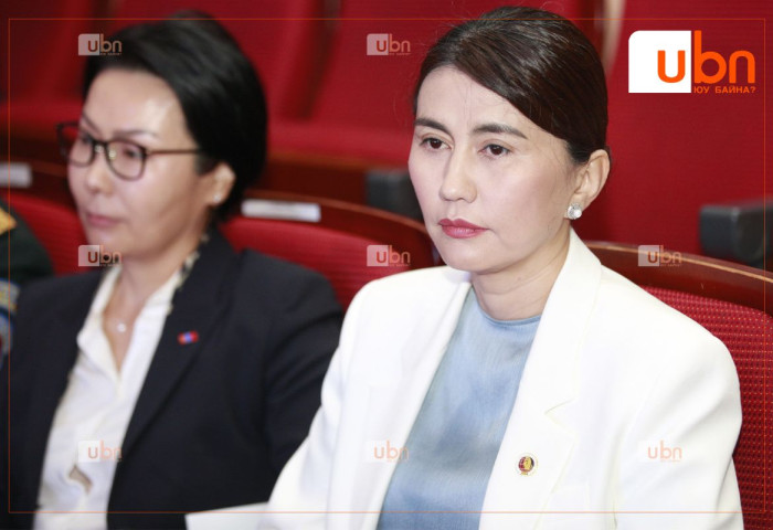 Монголын эмэгтэйчүүдийн холбоо 2024 онд төрөөс 16 сая 800 мянган төгрөгийн санхүүжилт авчээ