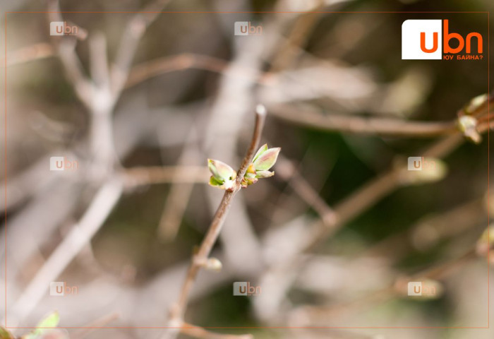 ТАНИЛЦ: 4-6 сар хүртэлх цаг агаарын ерөнхий төлөв