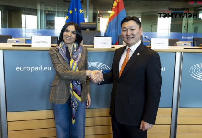 Зөвлөлдөх уулзалтаар сэргээгдэх эрчим хүчний чиглэлээр хийгдэх хөрөнгө оруулалтын асуудлыг хөндлөө