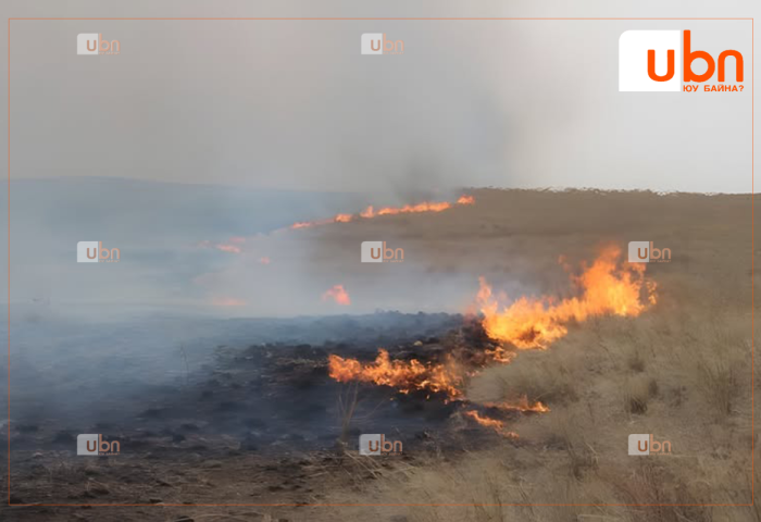 Сэлэнгэд түймэр гарч 21 га талбай шатжээ