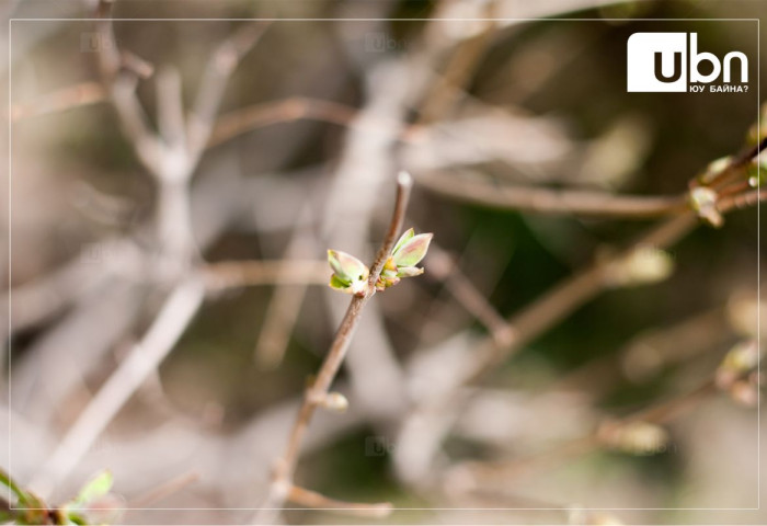 Улаанбаатарт 13 хэм дулаан байна