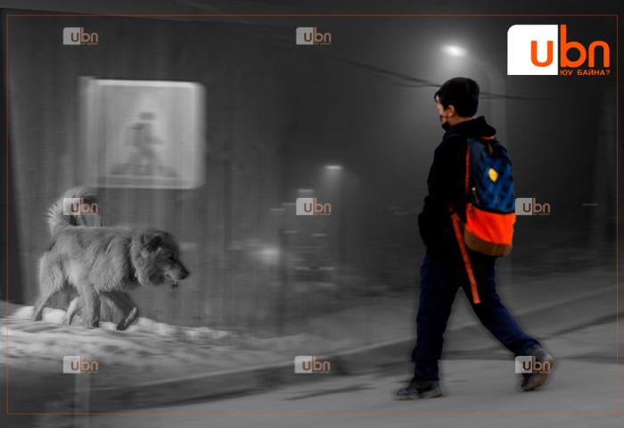 ГССҮТ: Сурагчдын амралт эхэлсэнтэй холбоотойгоор нохойд хазуулж ирэх хүүхдийн тоо нэмэгдэж байна