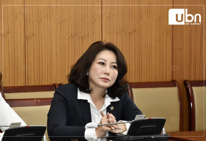 Б.Баярсайхан: Хэлд ороогүй хүүхдүүдэд зориулсан монгол контент хийж өгөх хүсэлтийг Соёлын яамд олон жил тавьж байгаа