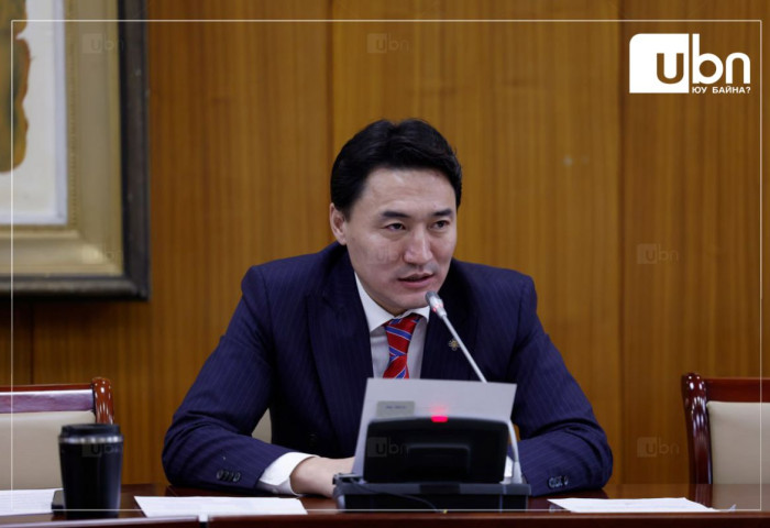 Г.Дамдинням: Үнэхээр л ашигтай юм бол чичирч давхиад байх шаардлагагүй