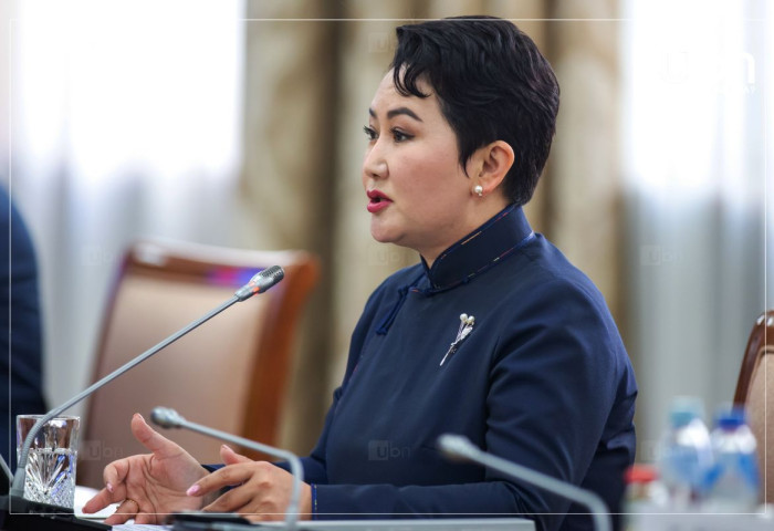 Б.Батцэцэг: Тусгай үүрэгт элчин сайд нар албажаагүй байна. Тэд зөвхөн төслүүдэд саналаа гаргаж ажиллана