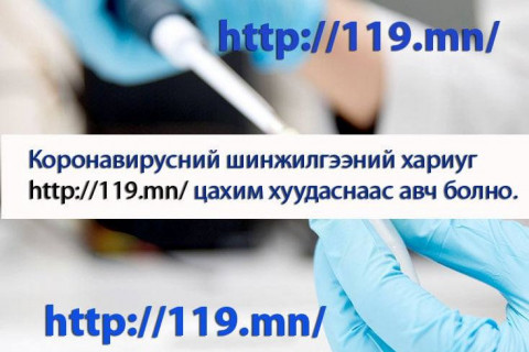 Зорилтот болон сайн дурын шинжилгээнд 34.402 хүн хамрагдаад байна