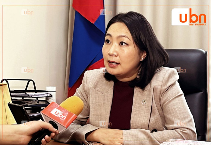 УИХ-ын гишүүн О.Номинчимэг сонгуулийн сурталчилгааны зардал, санхүүжилтийг багасгах зорилгоор хуульд бүрэн шинэчлэл хийх шаардлагатай гэв