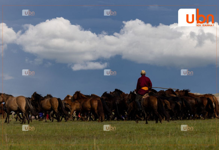 Энэ онд ЭМД-аа өөрөө хариуцан төлөх 116 мянган малчны 16.6 хувь нь даатгалаа төлжээ