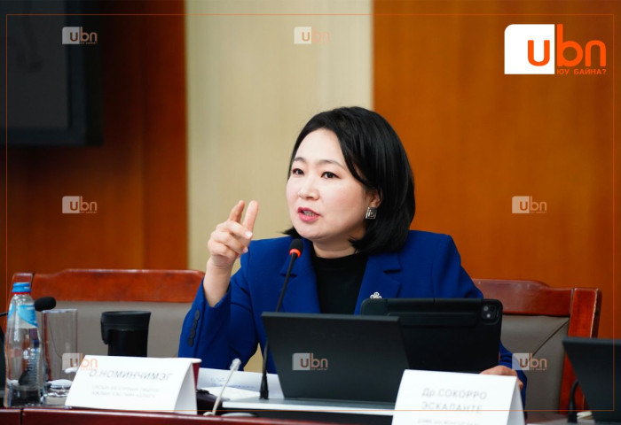 О.Номинчимэг: Тамхины хэрэглээнээс шалтгаалсан эдийн засгийн алдагдал 801 ТЭРБУМ ТӨГРӨГТ хүрчхээд байна