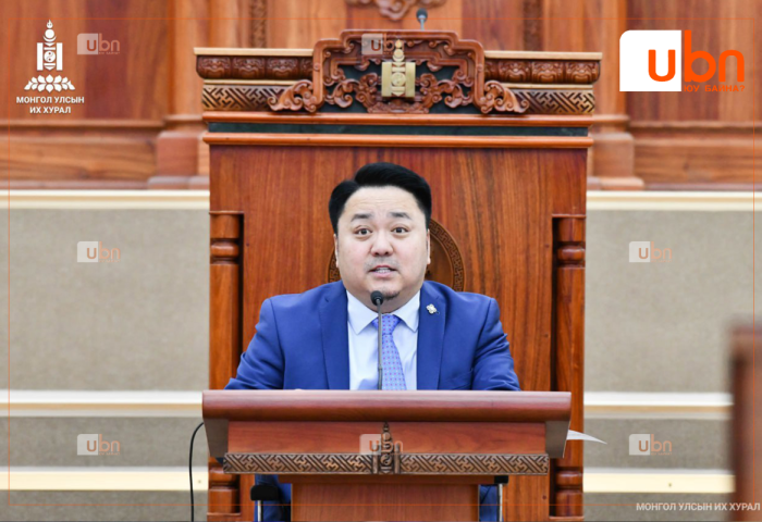 Хөгжлийн бэрхшээлтэй иргэдийн төлөөлөл болж, жагсаалтаар сонгогдсон УИХ-ын гишүүн Ж.Баясгалан ЗОРИУЛАЛТЫН индэртэй боллоо