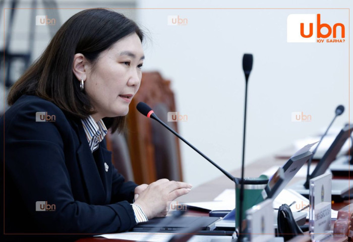 “Иргэдийн үг хэлэх, жагсаж цуглах эрхийг хууль ёсны, хууль бус жагсаал гэх мэтээр ангилаад байх хэрэггүй“