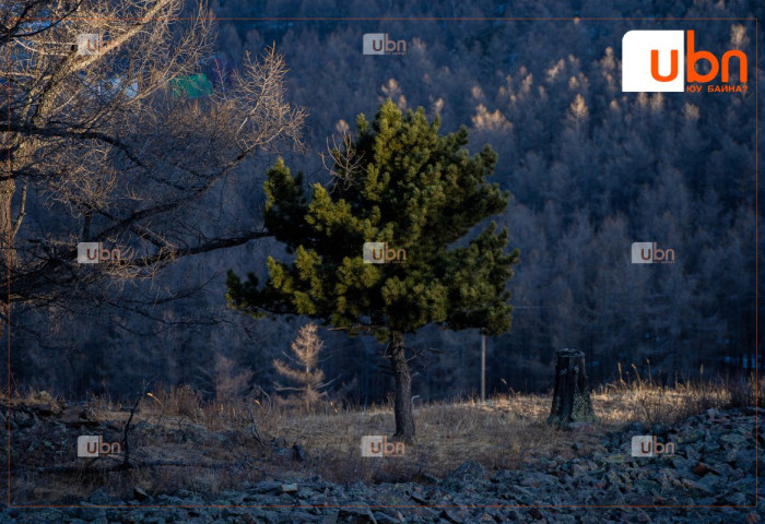 ӨГЛӨӨНИЙ МЭНД: Өнөөдөр Улаанбаатарт 13 хэм дулаан