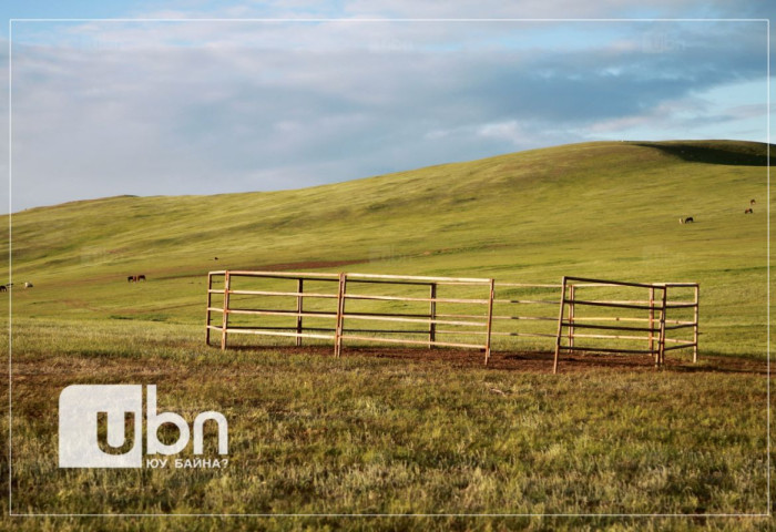 Хоёр настай хүүхэд моринд өшиглүүлж, толгойдоо 4 оёдол тавиулжээ