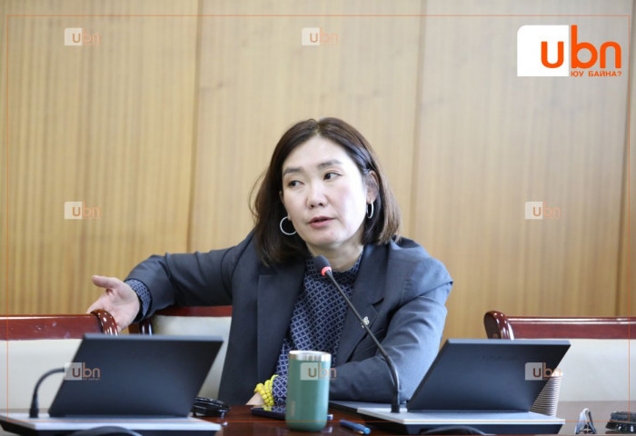 Л.Мөнхбаясгалан: Гурилын асуудалд өмнө хэн, юу ярьж байсан бэ гэдгээр нэвтрүүлэг хийчихмээр санагдаад байгаа