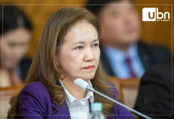 ХЗБХ: Монгол Улс дахь хүний эрх, эрх чөлөөний байдлын талаарх 24 дэх илтгэлийг хэлэлцэж байна