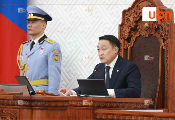 Д.Амарбаясгалан: УИХ-ын гишүүд хэт ЭМЗЭГ байгаад хэрэггүй