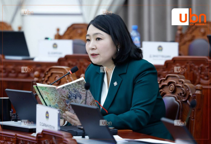 УИХ-ын гишүүн О.Номинчимэг АН-ын гишүүдийг “Худлаа үндэслэлээр ЗАВСАРЛАГА авсан“ гэв