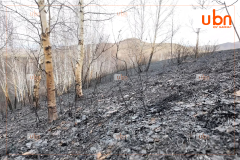 Сэлэнгэ аймгийн Зүүнбүрэн суманд гарсан түймэрт 11894 га газар өртжээ