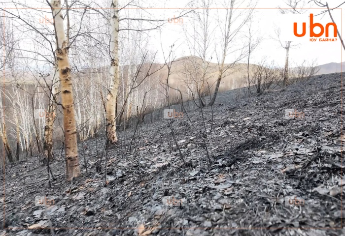 Сэлэнгэ аймгийн Зүүнбүрэн суманд гарсан түймэрт 11894 га газар өртжээ