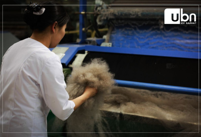 “330 тэрбум төгрөгийн эх үүсвэрийг ноолуурын худалдан авалтад гаргасан“