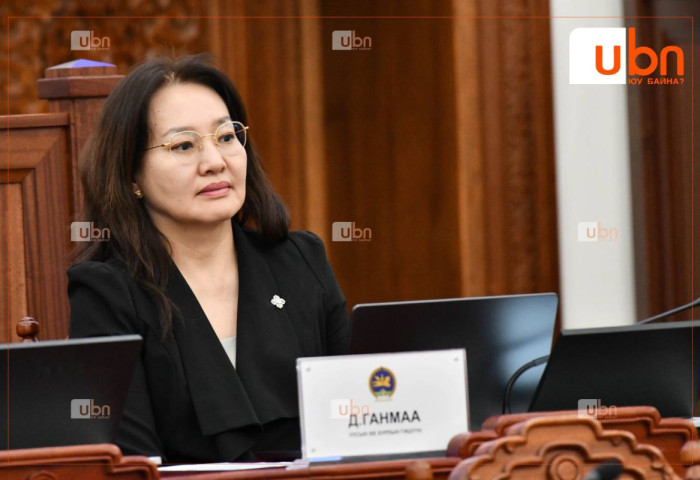 Д.Ганмаа: Эм өөрөө үндэсний аюулгүй байдалд хамаатах асуудал учраас зах зээлийн шугамаараа хөгжөөд яв гээд орхиж болохгүй